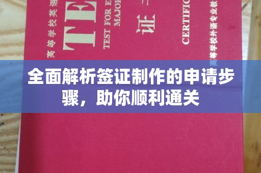 水城全面解析签证制作的申请步骤，助你顺利通关